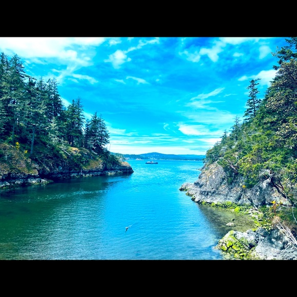 Meet your Posher, Lori - Picture 1 of 1